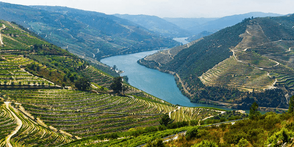 Picture of Duoro River Valley